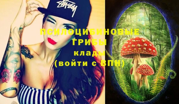 соль курить ск Алзамай