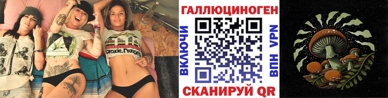 Галлюциногенные грибы Psilocybine cubensis  Краснодар 